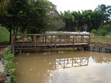 pontes-e-passarelas (10)